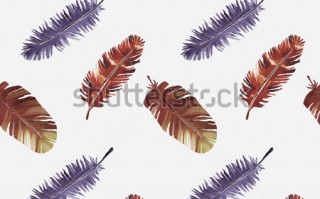 artric76什么抛，